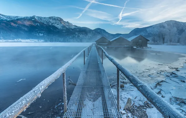 Cold, ice, winter, frost, the sky, clouds, snow, trees