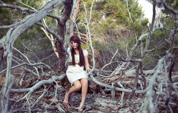 Girl, trees, photographer, girl, Taylor, photography, photographer, Brian Storey