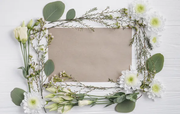 Greens, flowers, paper, background, chrysanthemum, eustoma
