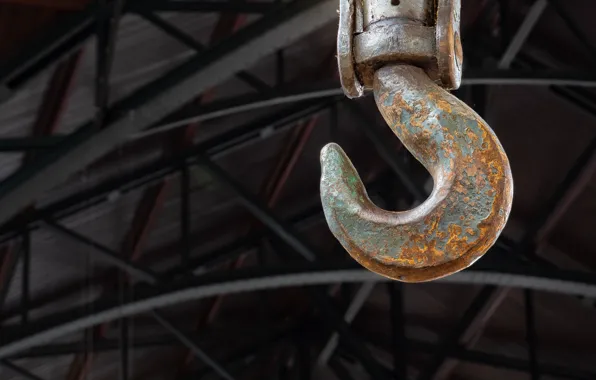Macro, background, hook
