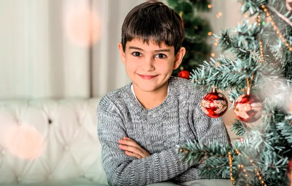 Decoration, smile, child, boy, tree, sweater