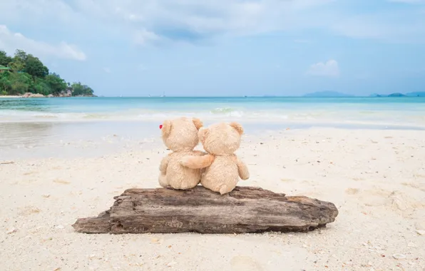 Sand, sea, beach, love, toy, bear, bear, pair