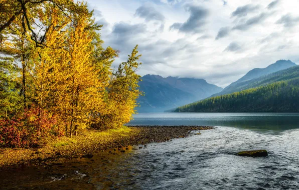 Picture autumn, forest, the sky, leaves, water, clouds, trees, mountains