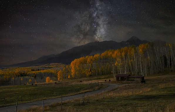 Road, field, autumn, forest, stars, mountains, night, tops
