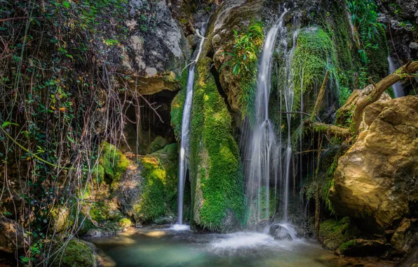Picture forest, waterfall, stream
