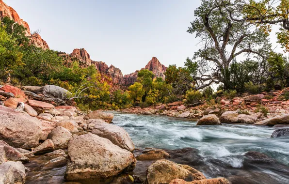 Picture river, stones, Utah, USA, Zion National Park