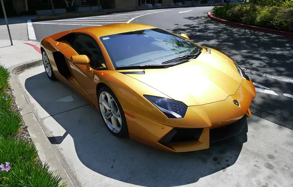 Picture road, yellow, markup, shadow, lamborghini, side view, yellow, aventador