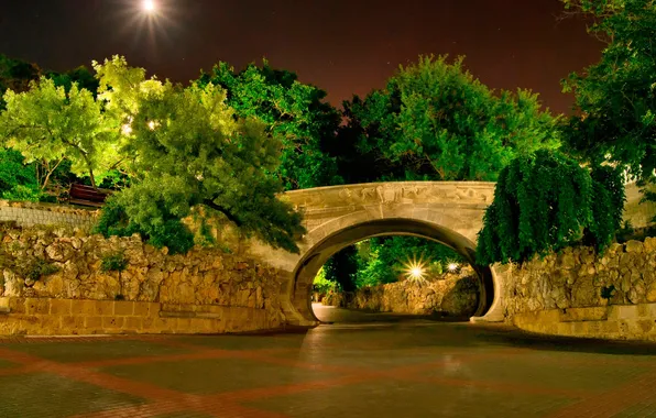 Trees, night, bridge, Park