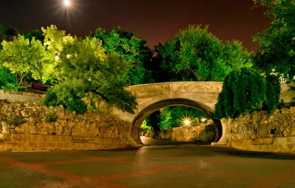 Picture trees, night, bridge, Park