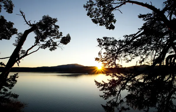 MOUNTAINS, POND, SUNSET, TREES, BRANCHES, DAL, LAKE, SILHOUETTES