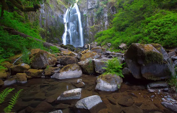 Greens, water, stones, waterfall, CA, USA, USA, fern