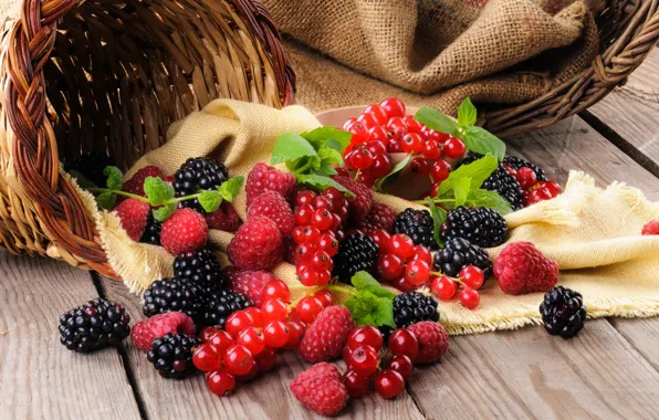 Leaves, berries, raspberry, basket, currants, BlackBerry, blackberry, raspberry