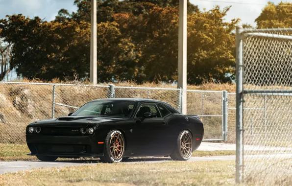 Picture Dodge, Challenger, Series, Hellcat, SRT, Track, Spec, ADV5.0