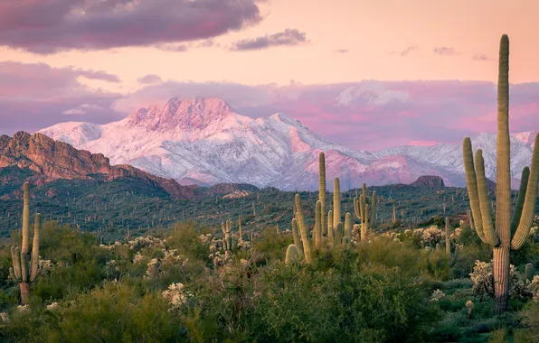 The sky, clouds, light, snow, mountains, rocks, the slopes, tops