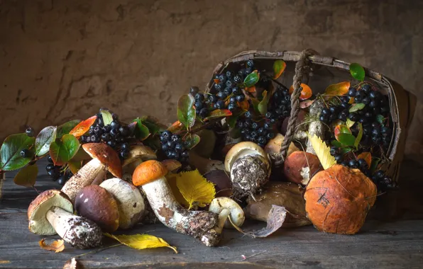 Picture autumn, basket, mushrooms, Aronia