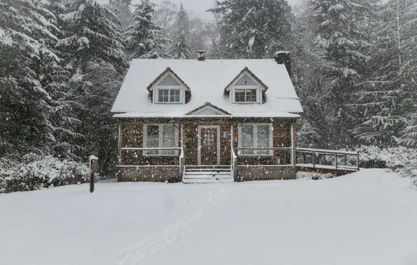 Picture Winter, House, House, Winter, Snowfall, Winter Forest, Snowfall, Winter Forest