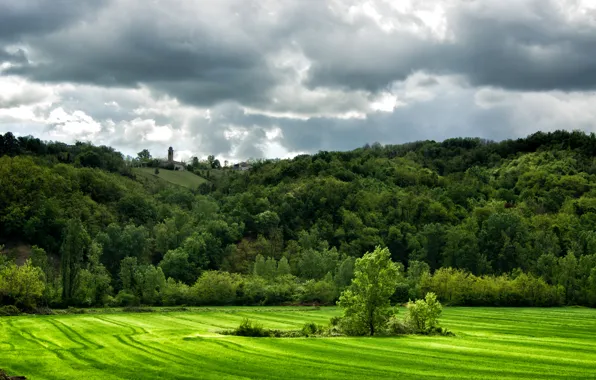 Greens, field, grass, trees, clouds, hills, Italy, Lugagnano Val dArda