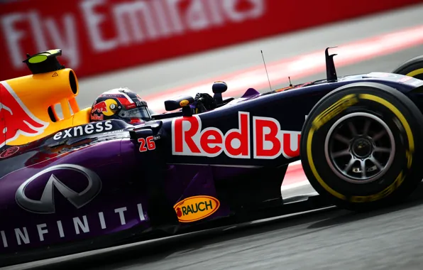 Wallpaper Profile, Formula 1, Red Bull, Daniil Kvyat images for desktop