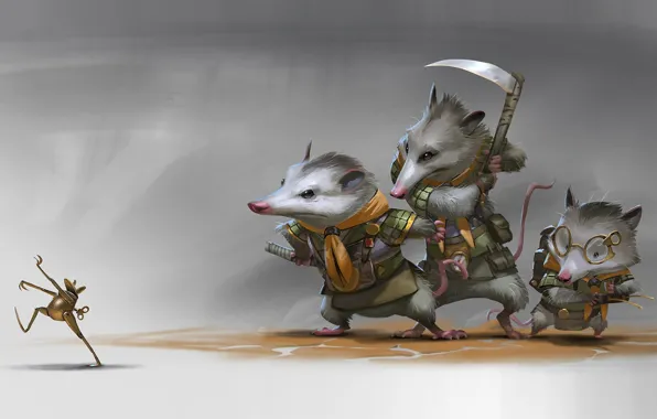 Picture frog, art, rat, Illustrator, scout, Rudy Siswanto, Scout Brother