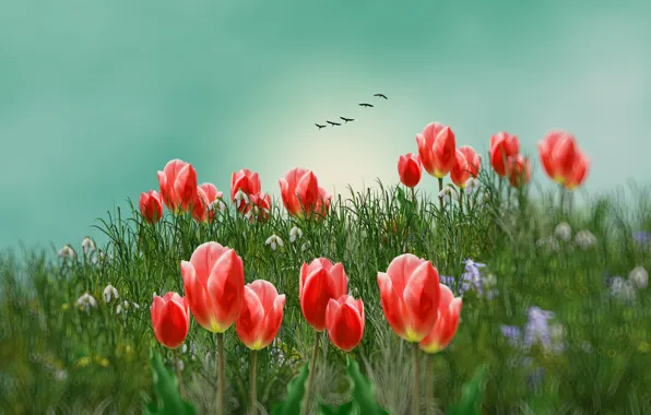 The sky, grass, flowers, red, rendering, bird, pack, spring