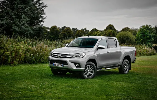 Grey, Toyota, Car, Double, Hilux, 4x4, Cab, Metallic