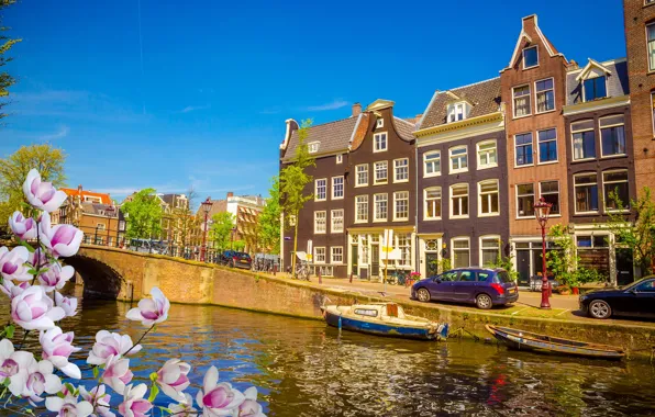 Picture bridge, river, spring, Amsterdam, flowering, bridge, blossom, Amsterdam
