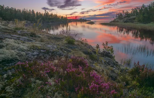 Landscape, nature, lake, stones, shore, Laguna, Lake Ladoga, Ladoga