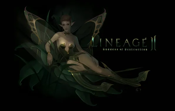 Picture girl, fantasy, the game, art, Lineage 2