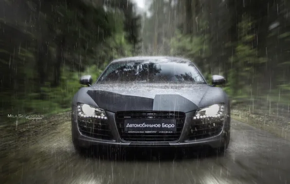 Car, machine, auto, forest, fog, rain, Audi, audi