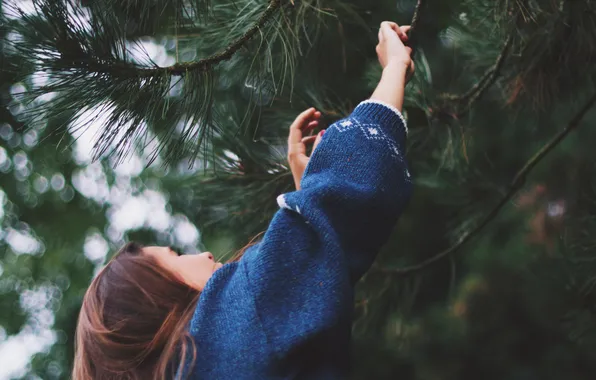 Picture girl, needles, tree, sweater