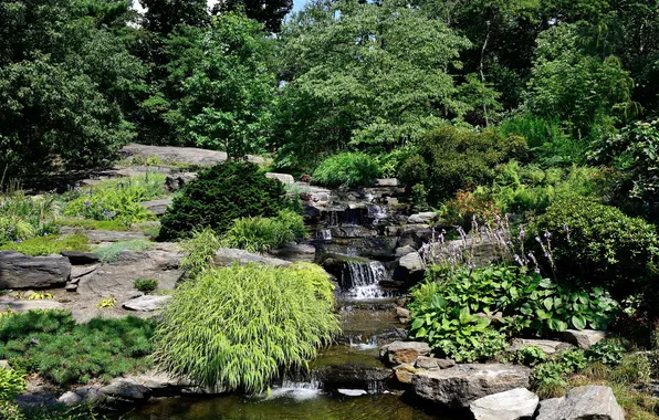 Picture nature, pond, Park, stream, stones, photo, New York, USA