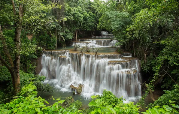 Greens, forest, trees, stones, waterfall, Thailand, cascade, the bushes