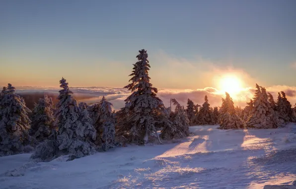 Schnee, Berg, Brocken, Clouds, Morgen, Fog, Ice, Sunrise