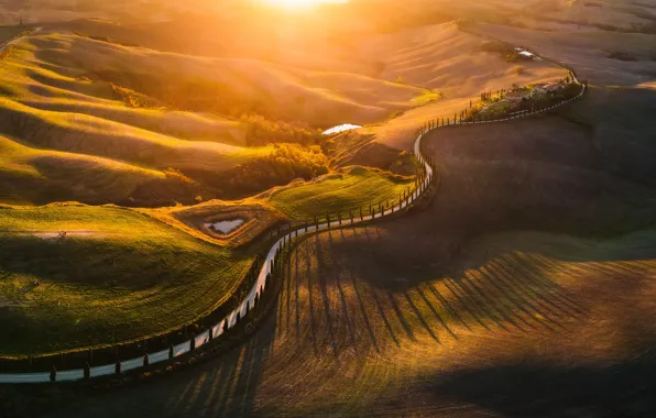 Road, hills, field, Italy, cypress, Tuscany, the