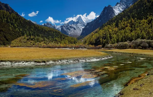 Picture field, forest, the sky, clouds, landscape, mountains, nature, river