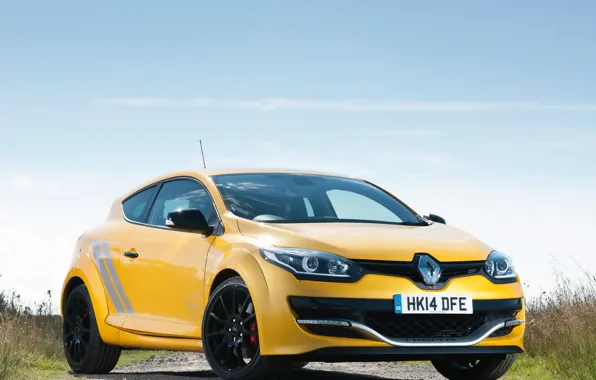 Picture Renault, Megane, 275, '2014, Trophy-R, R.S.