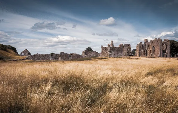 Field, castle, ruins, antiquity, the ancient city, dry grass