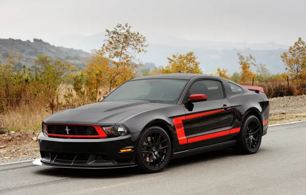 Mustang, Ford, Mustang, Ford, 2011, Hennessey