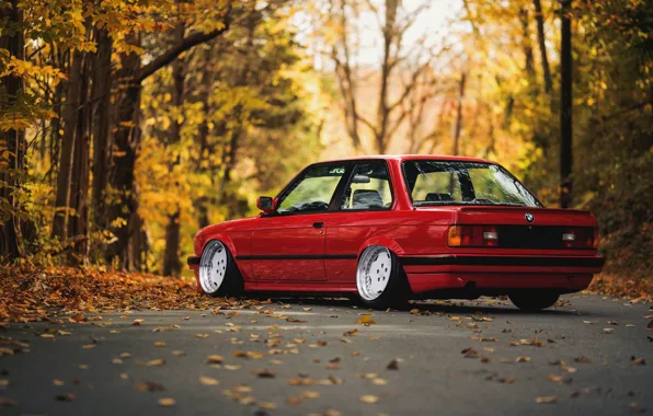 Road, autumn, forest, leaves, BMW, E30