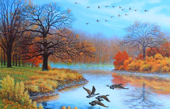 Autumn, trees, landscape, birds, river, duck, picture