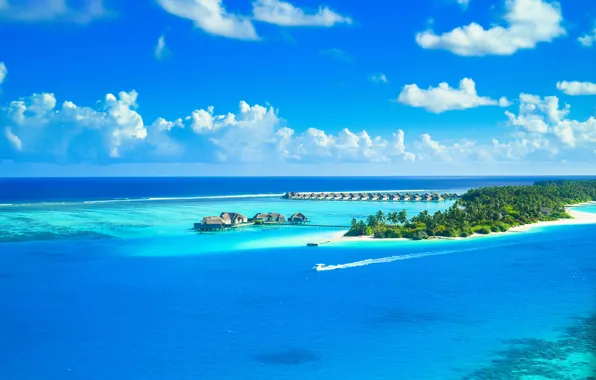 Sea, island, Maldives, boat, palm tree