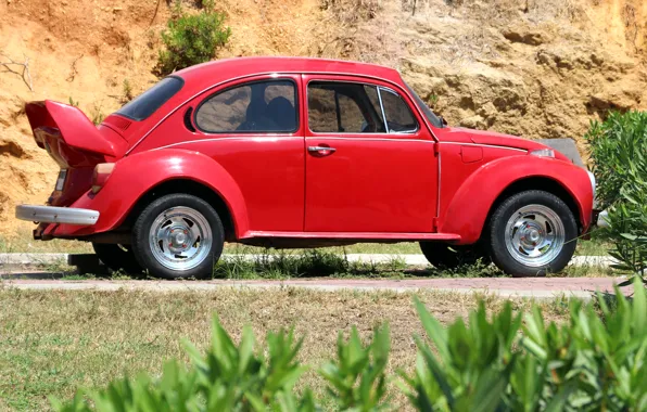 Machine, beetle, car, red, the bushes, Volkswagen, Volkswagen Beetle