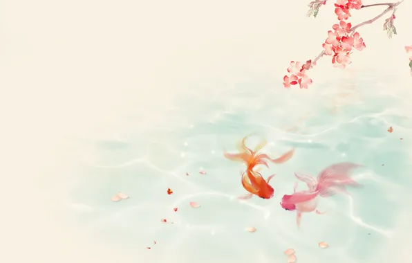 Water, pond, mood, branch, Sakura, goldfish