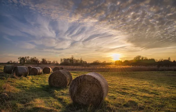 Field, the sky, grass, the sun, rays, sunset, nature, hay