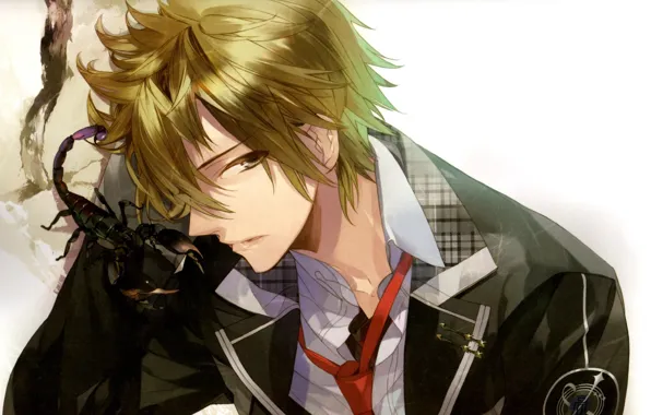 Look, Scorpio, guy, Starry Sky