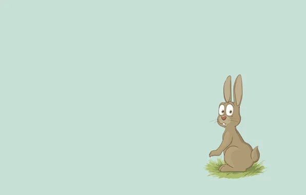 Animal, hare, minimalism, rabbit, rabbit, soup