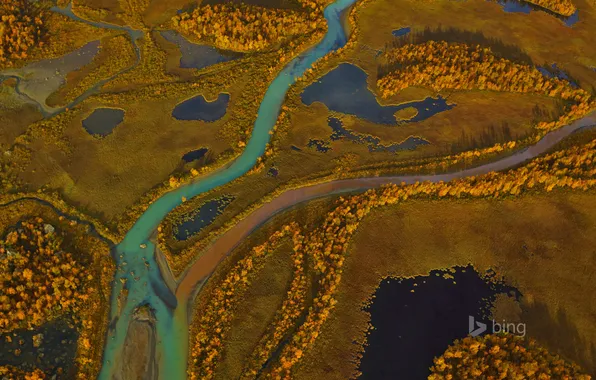 Picture autumn, trees, river, paint, panorama, Sweden, Sarek National Park