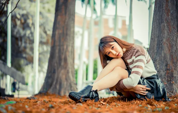 Girl, skirt, legs, Asian, sitting, cutie, sweater