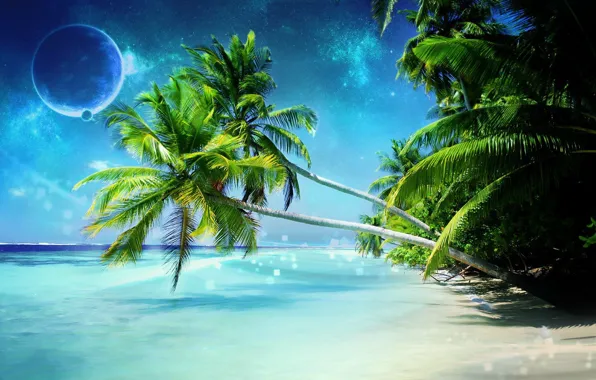 Sea, palm trees, planet, Shore, Dreamy World