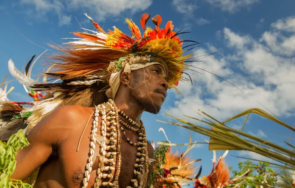 Picture decoration, dance, male, aboriginal, Papua New Guinea, Escape to nature, Papuan, traditional dance